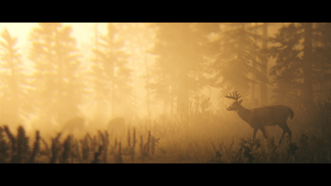 Une image - Une interprétation : Red dead Redemption 2