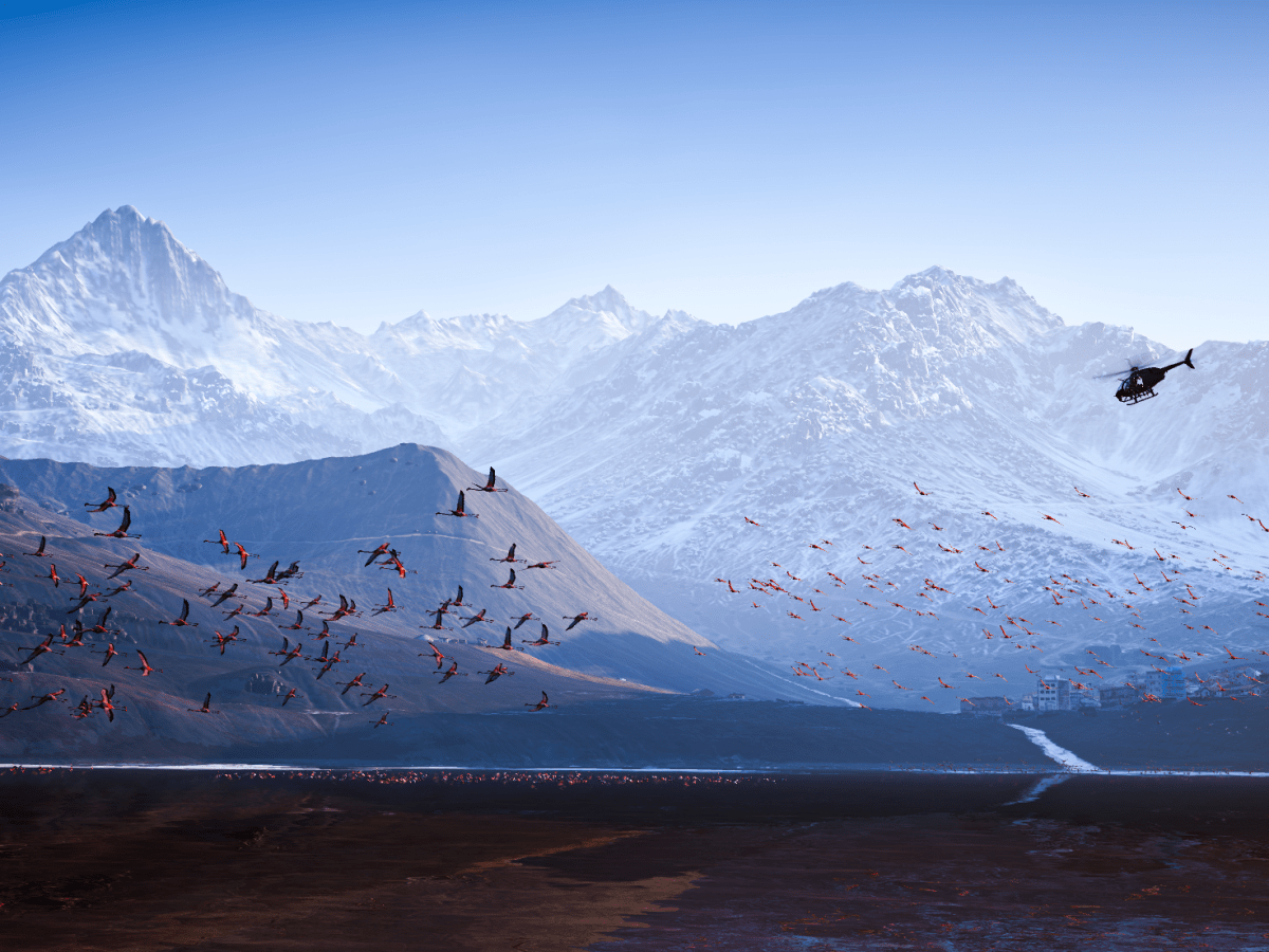 Sauvagerie Vidéoludique : Réflexion sur nos interactions avec la faune sauvage dans le jeu&nbsp;vidéo