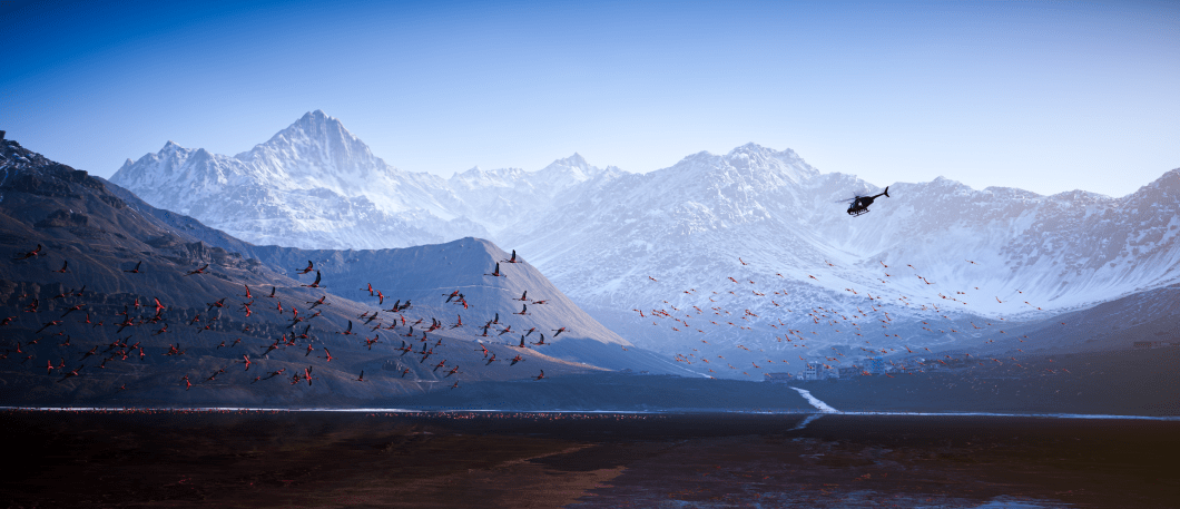 Sauvagerie Vidéoludique : Réflexion sur nos interactions avec la faune sauvage dans le jeu vidéo